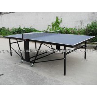 Table Tennis Table (DTT9028)
