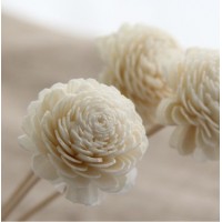 Hot Selling of Handmade Wood Sola Flowers in Air Fresheners/Sola Reed Flower Stick