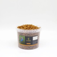 Best Quality Dried Mealworm for Bird/Fish Feed