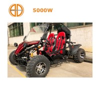 New 5000W Electric Dune Buggy Go Kart for Sale (MC-259)