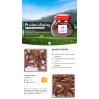 Catwell Dried Mealworms for Small Pert Hamster Food