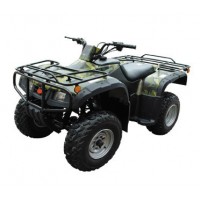 250CC ATV (HL-A250 250CC)