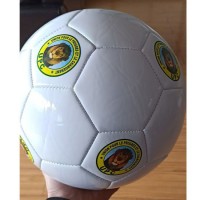 Custom Logo Size 4 Size 5 Football Premier PVC PU Seamless Soccer Ball Goal Team Match Training Ball