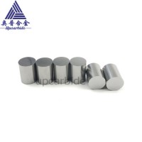Yg10X Od20*26mm Length Polished Grinding Tungsten Carbide Cyclinder