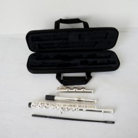 Wholesale Price Silver Flute Recorder Woodwind Instrument