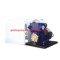 Pool Self Priming Booster Suction Water Pump with Brass Impeller