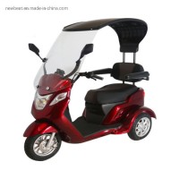New Electric 3-Wheeled Scooter 60V500W Motor EEC Certification