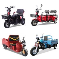 High Power 60V1000W Electric Cargo Tricycles with Heavy Loading  Convenient Vehicle
