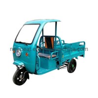 Good Price Electric Tricycle Rickshaw for Adults
