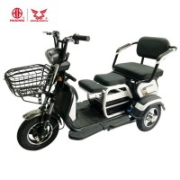 New 48V500W 3 Wheel Mini Electric Car for Two Passengers Use