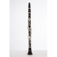 Clarinet for Beginner Made in China  Wholesale Woodwind Musical Instrument
