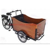 Rl-T05b-2 Three Wheels Electric Cargo Bike Family Adult Tricycle Outdoor Food Vending Cart