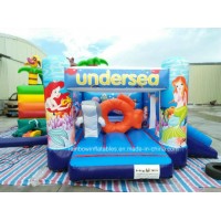 Cheap Inflatable Undersea Bouncer for Sale (RB1130)