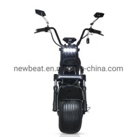 EEC Coc 60V Europe Warehouse 1000W 1500W 2000W 3000W 5000W Fat Tire Motorcycle Electric Scooter