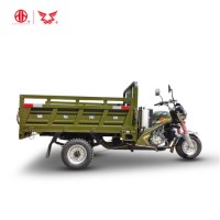 Gasoline Farm Zongshen Brand Motorized Cargo Three-Wheel Truck for Adults