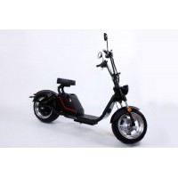 Professional Wholesale Custom Moutain Electric Bike with Fat Tire
