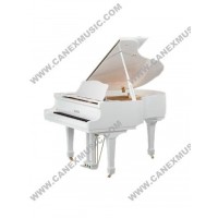Keyboard/ Piano / Grand Piano (GP148)