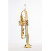 Gold Lacquer Wholesale Trumpet  High Quality  Beginner Horns  Made in China