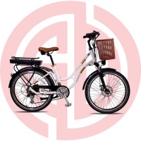 New Green Power 24/26/28 Inch Lithium Battery City Electric Bike for Adults