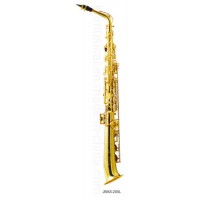 Yellow Brass Staight Alto Saxophone