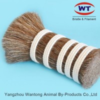 Competitive Price of Horse Mane Hair Horsetail Hair for Make Brushes