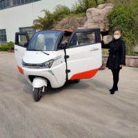2020 New Energy 3 Wheel Mini Electric Passenger Car for Hot Sale in Europe