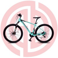 Green Lady/Man Bike Female/Male Alloy Mountain Bicycle