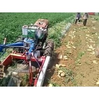 Zs1100 Walking Tractor Rotary Mower 15HP Hand Walking Tractor Plough Sweet Potato Harvester