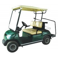 2 Person Electric Mini Golf Car