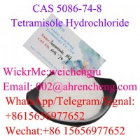 Tetramisole hydrochloride CAS 5086-74-8 with Top Quality