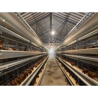 layer chicken cage poultry farm chicken breeder equipment