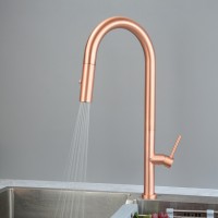 Rose Gold Kitchen Sink Faucet with Pull Down Sprayer
