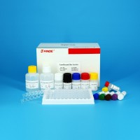 Enrofloxacin (ENR) ELISA Test Kit
