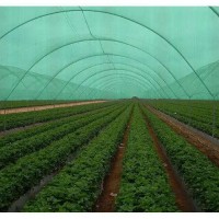 Resistant Net Hdpe Garden Green Agricultural Shade Net