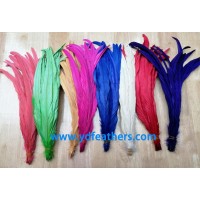 Dyed Rooster/Coque/Cock Tail Feather From China