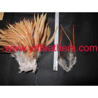 Rooster/Coque/Cock Saddles Feather For Wholesale From China
